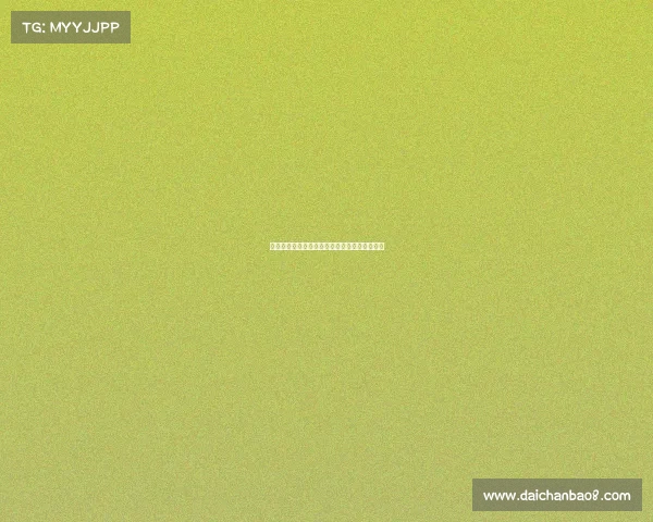 法甲精彩赛事即时比分直播全面分析与实时更新