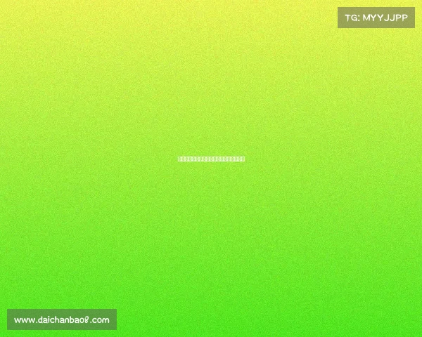 考试规则与新型考核模式的创新与挑战探讨